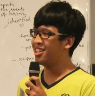 Steffansim